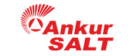 Partner - Ankur Salt