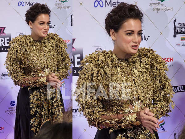 Wolf777news Filmfare Awards 2022: Dia Mirza graces the red carpet